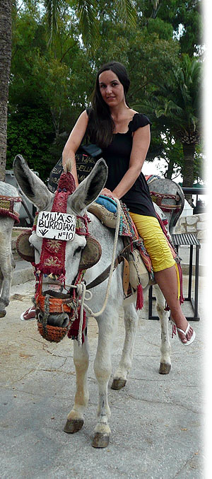 bitte Zeichencode eingeben